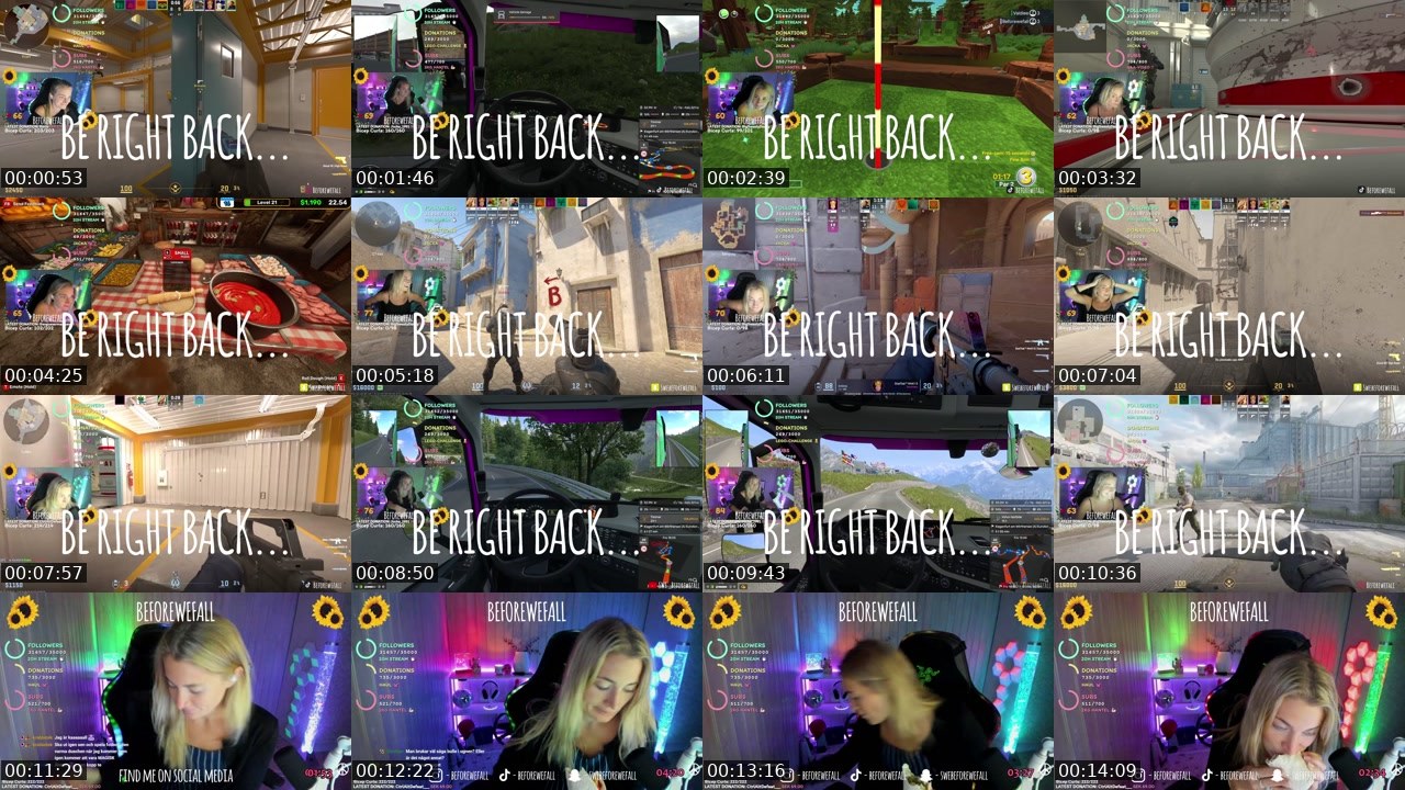 Contact-sheet preview of SWE_Beforewefall's Twitch recording