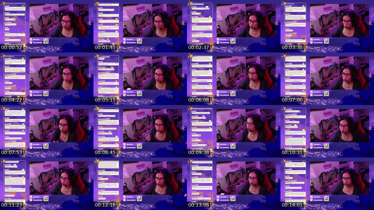 Contact-sheet preview of aelsan__'s Twitch recording