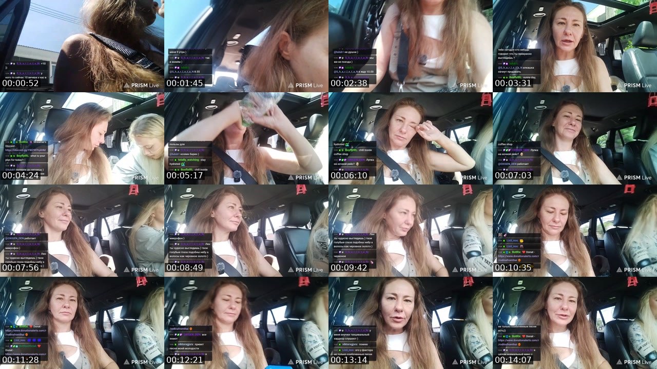 Contact-sheet preview of rodinafromthai's Twitch recording