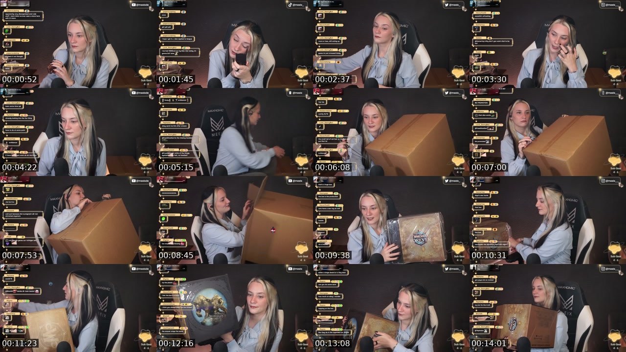 Contact-sheet preview of Meeix's Twitch recording