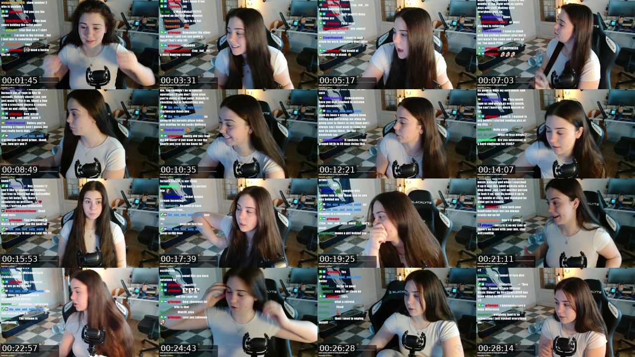 Contact-sheet preview of chickshnitty's Twitch recording