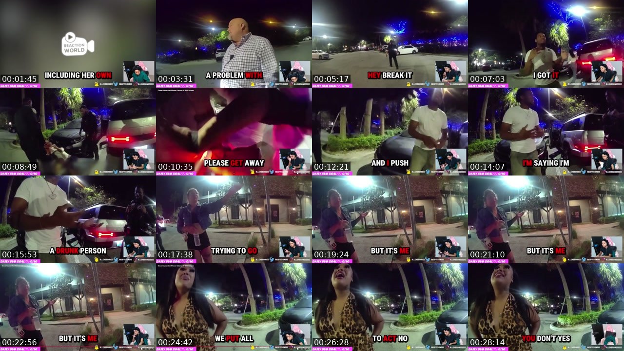 Contact-sheet preview of AllEyesOnDee's Twitch recording