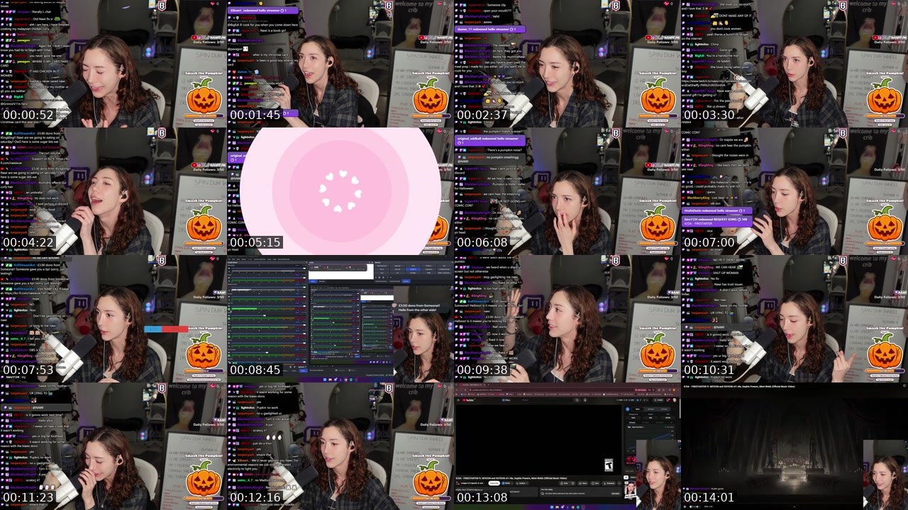 Contact-sheet preview of NAWI's Twitch recording