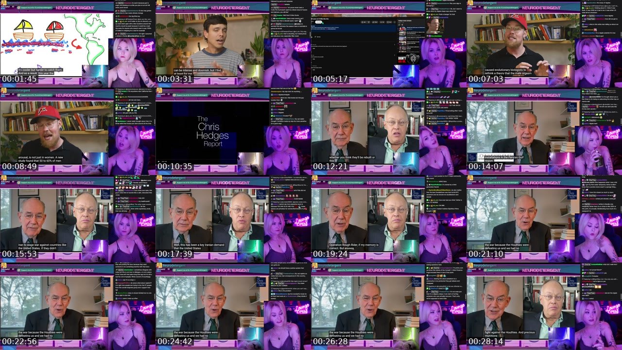 Contact-sheet preview of neurodetergent's Twitch recording