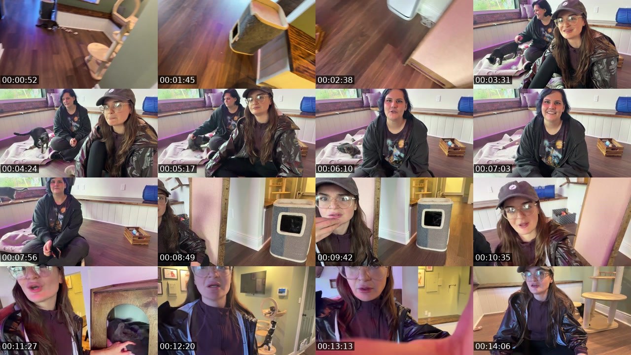 Contact-sheet preview of BeesWithTheKnees's Twitch recording