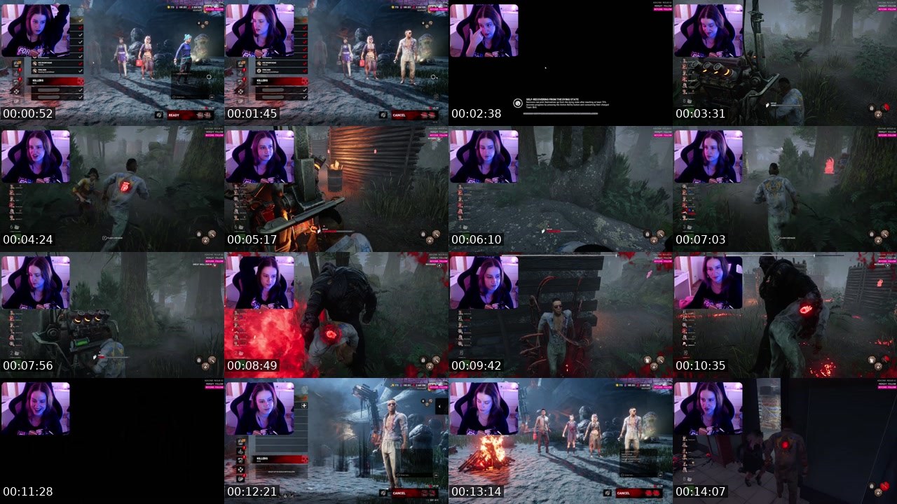 Contact-sheet preview of blushteddy's Twitch recording