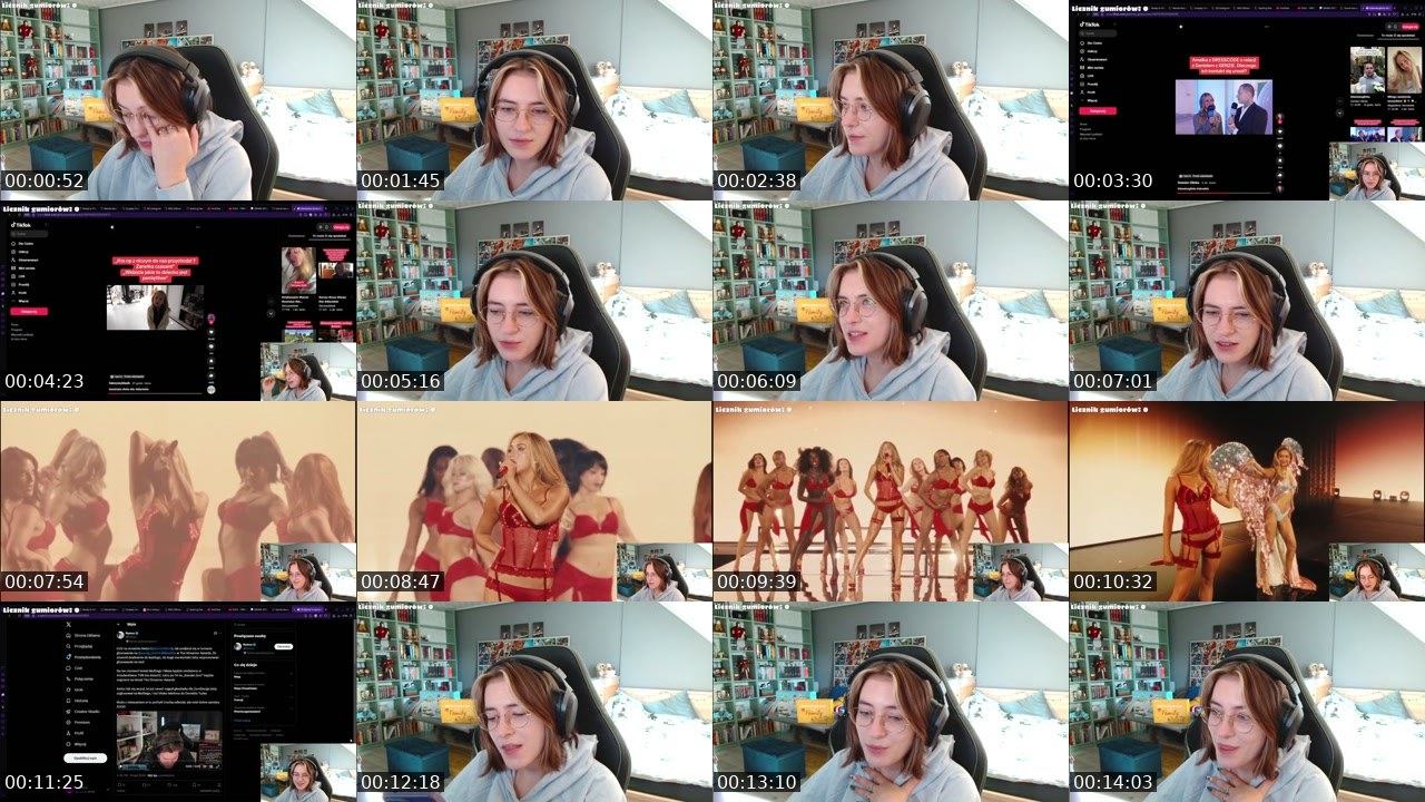Contact-sheet preview of Menders_7's Twitch recording