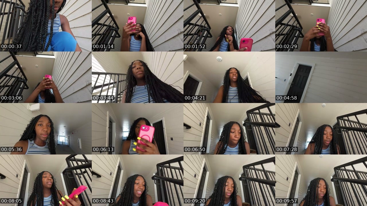 Contact-sheet preview of l3auna's Twitch recording