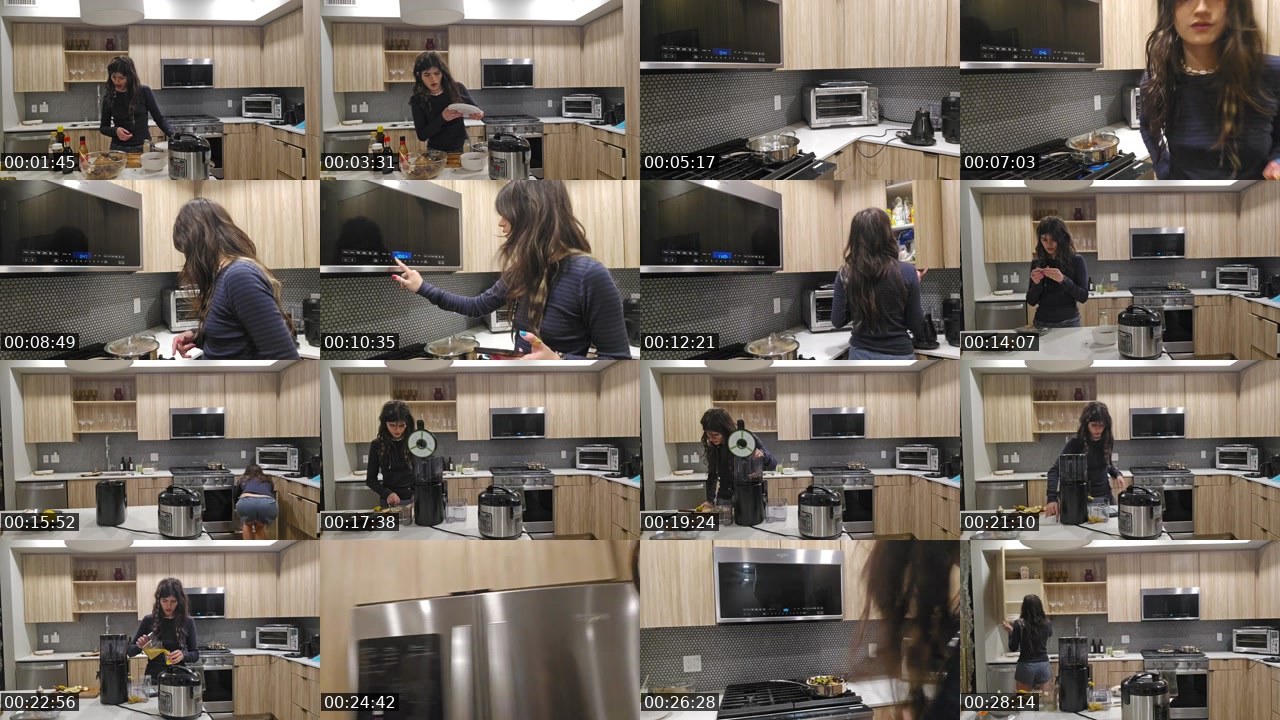Contact-sheet preview of RawrReeXD's Twitch recording