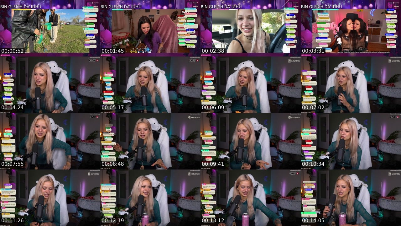 Contact-sheet preview of almostfeline's Twitch recording