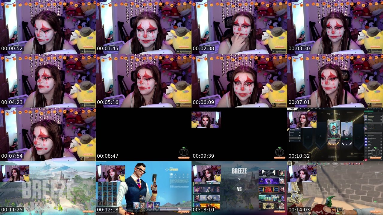 Contact-sheet preview of ilovecapybarasssss's Twitch recording