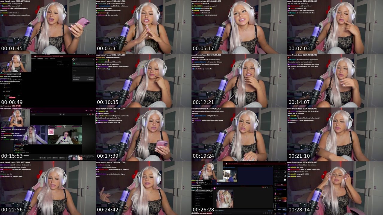 Contact-sheet preview of siigmakitten's Twitch recording