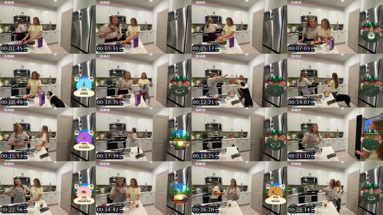 Contact-sheet preview of Jennah's Twitch recording