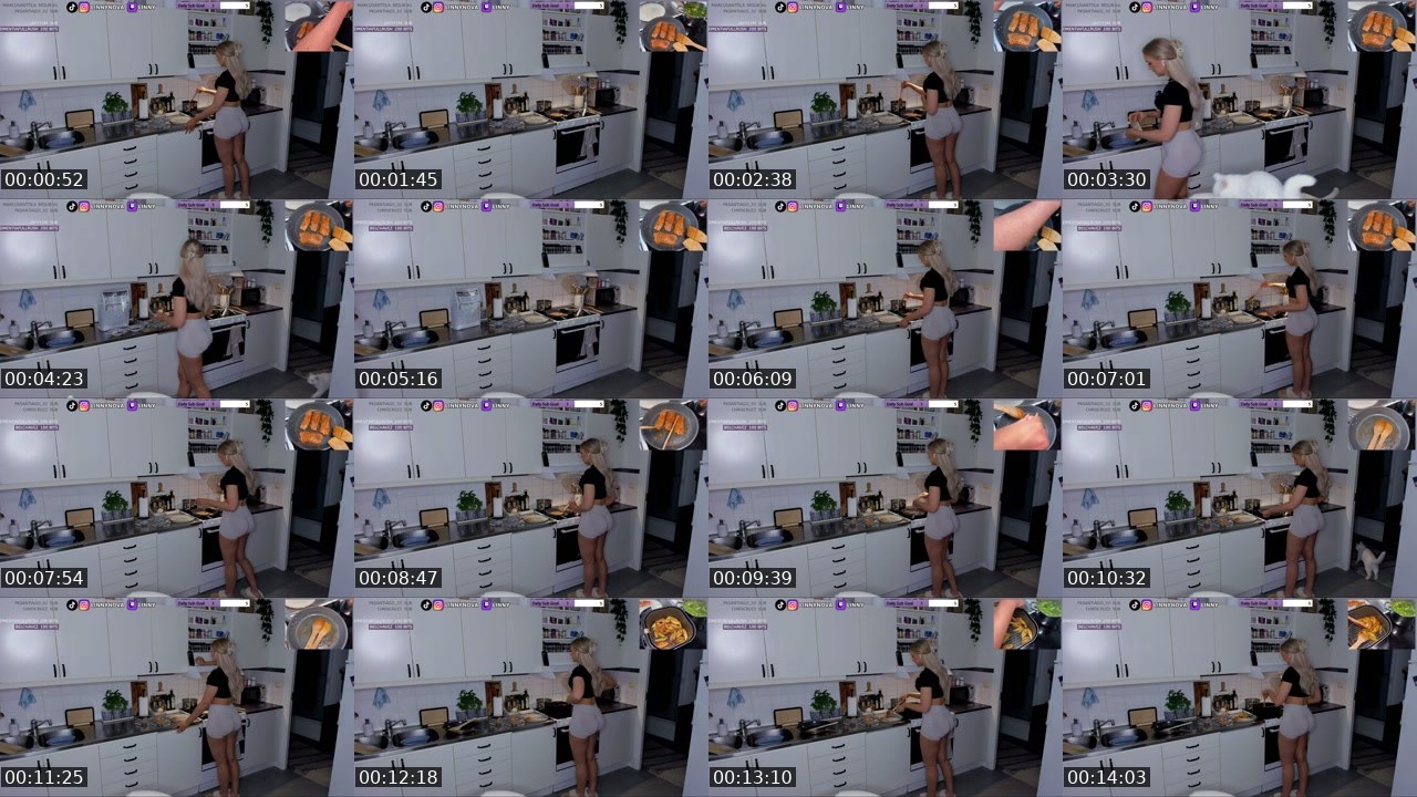 Contact-sheet preview of LinnyNova's Twitch recording