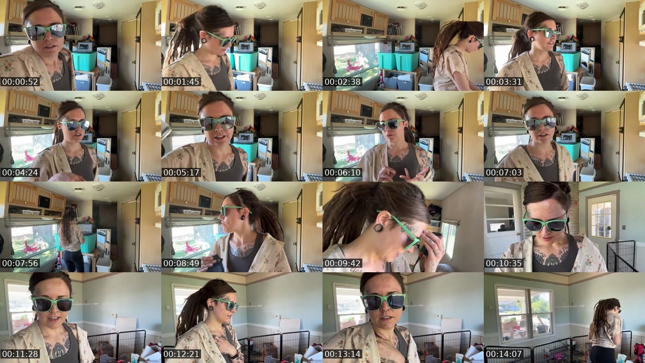 Contact-sheet preview of AlyssaWilds's Twitch recording