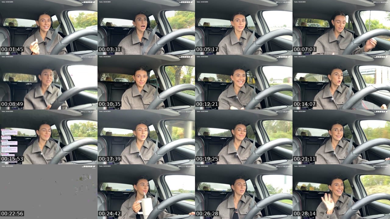 Contact-sheet preview of celi's Twitch recording
