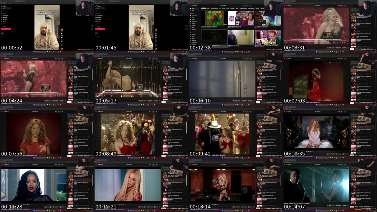 Contact-sheet preview of tygrysicaaa's Twitch recording