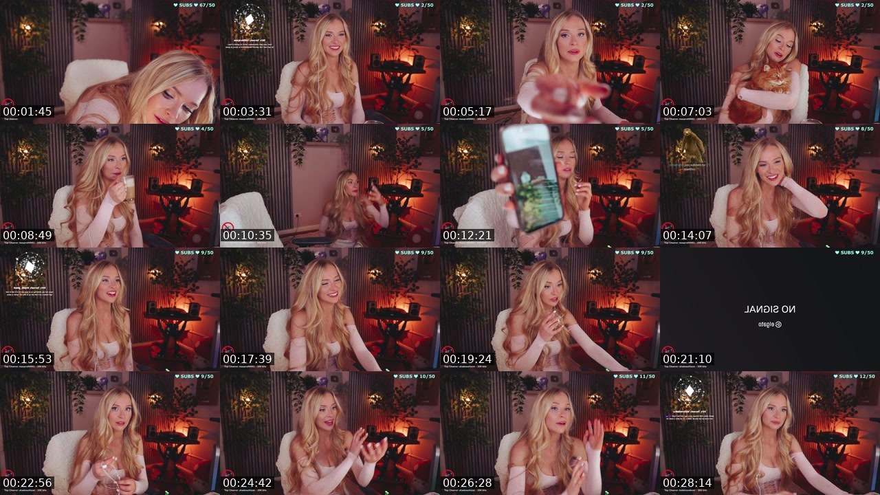Contact-sheet preview of Bebahan's Twitch recording