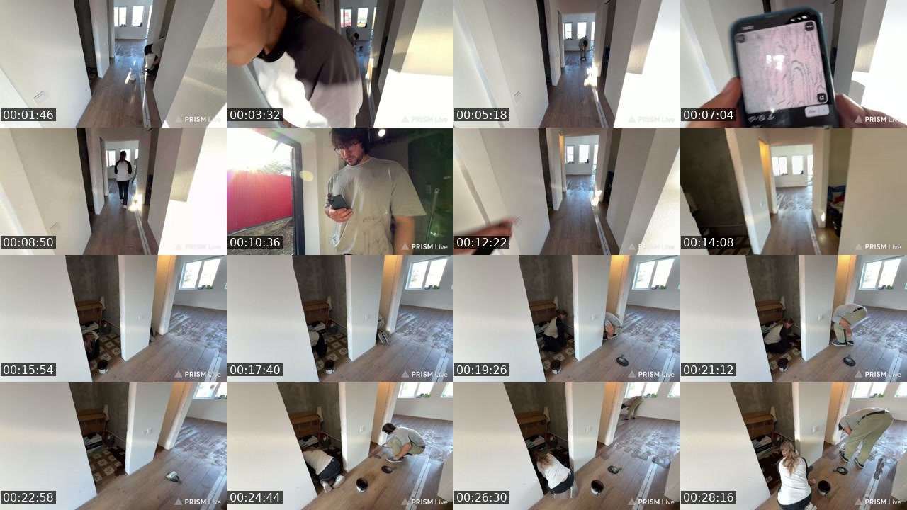 Contact-sheet preview of kris_grizliks's Twitch recording