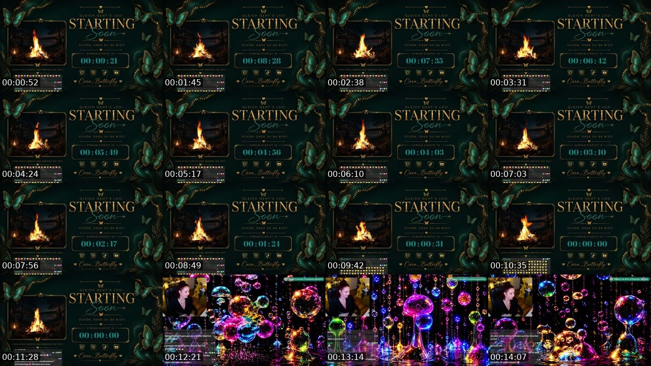 Contact-sheet preview of cara_butterfly's Twitch recording