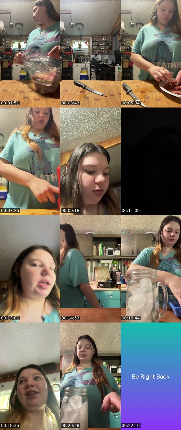 Contact-sheet preview of laynamalonee's Twitch recording