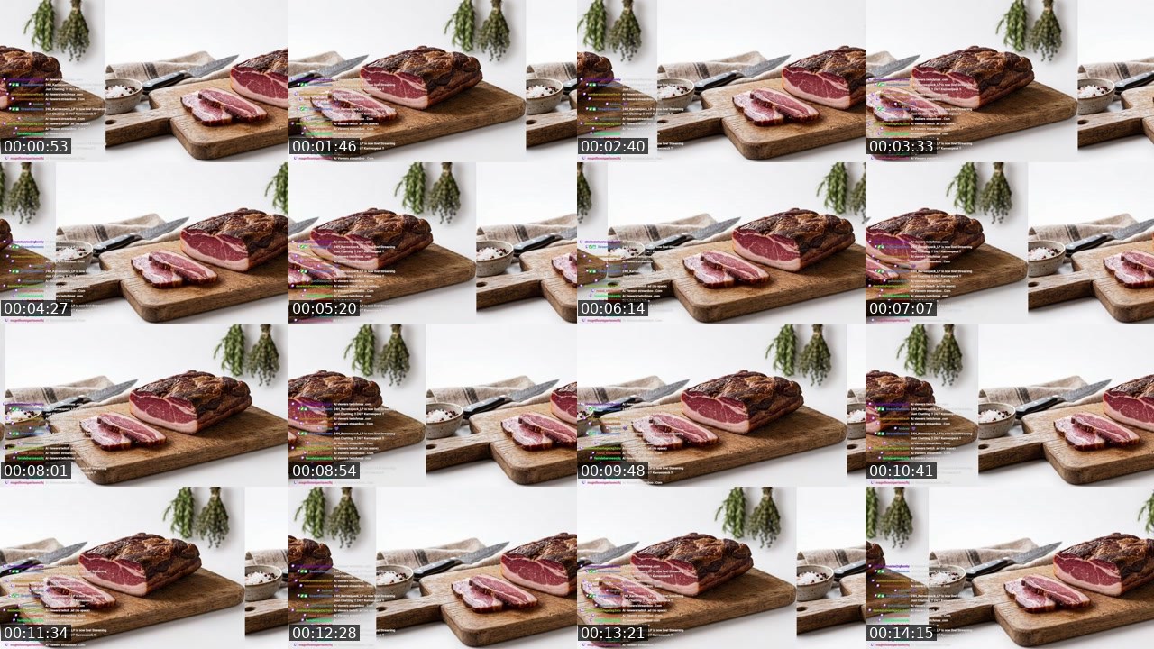 Contact-sheet preview of 24H_Karreespeck_LP's Twitch recording