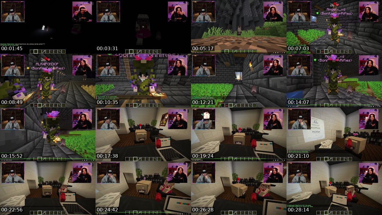 Contact-sheet preview of airi_han's Twitch recording