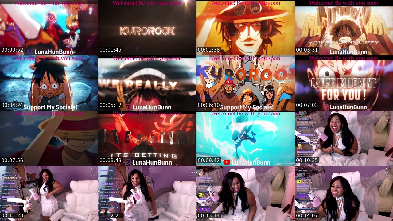 Contact-sheet preview of LunaHunBunn's Twitch recording