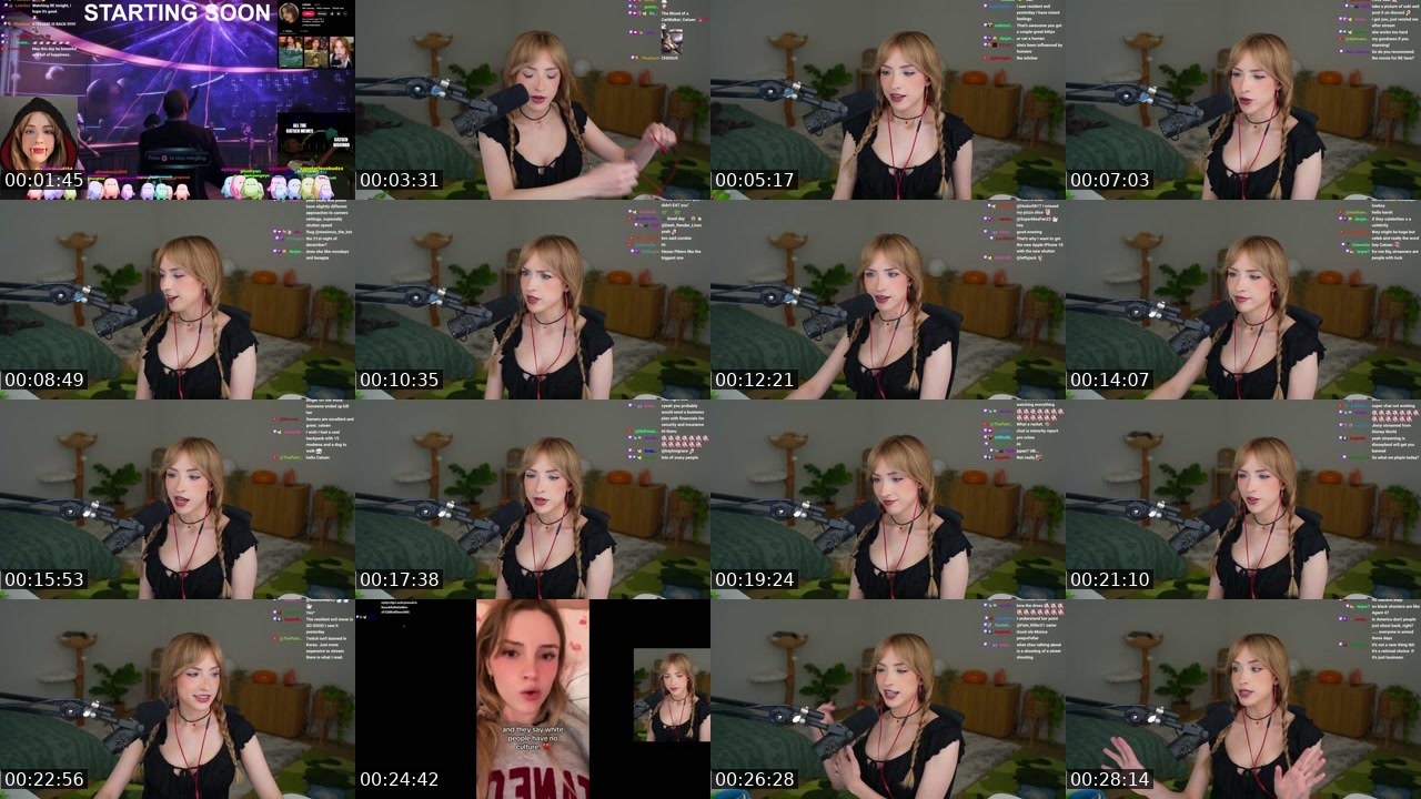 Contact-sheet preview of catsen's Twitch recording