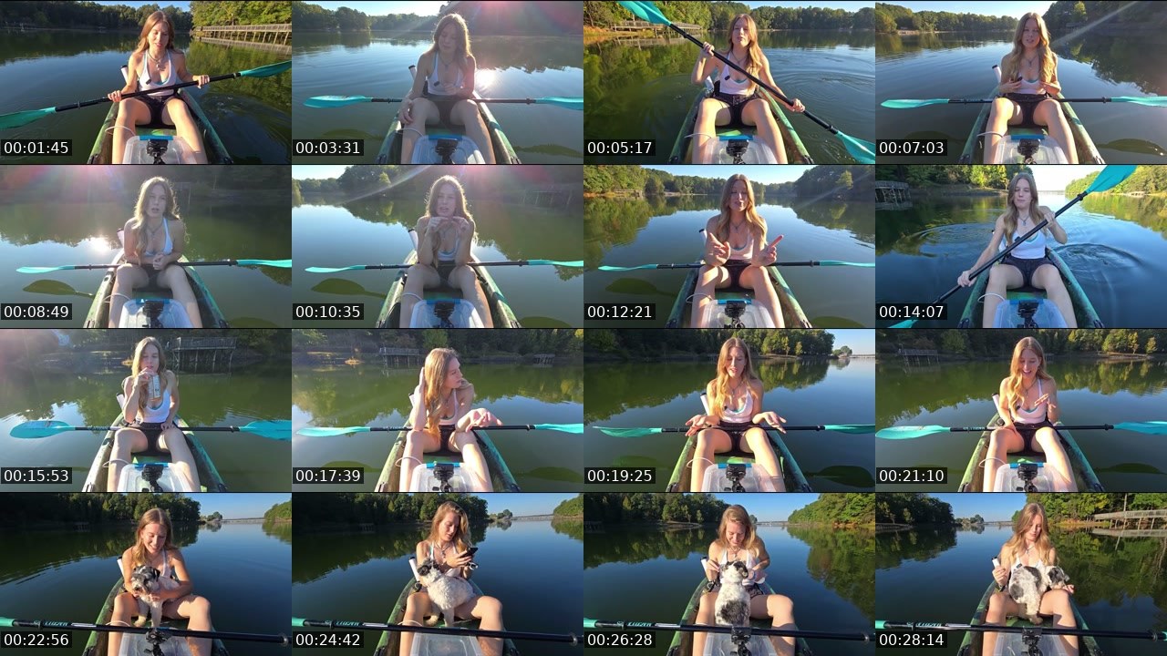 Contact-sheet preview of alison_ace's Twitch recording
