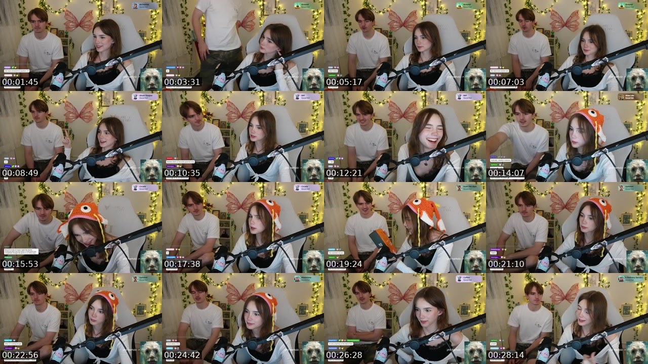 Contact-sheet preview of hollsbeauti's Twitch recording
