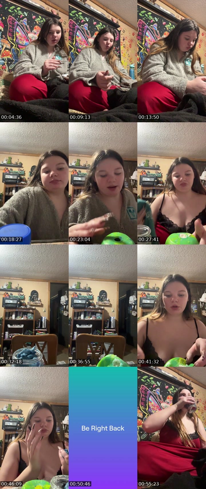 Contact-sheet preview of laynamalonee's Twitch recording