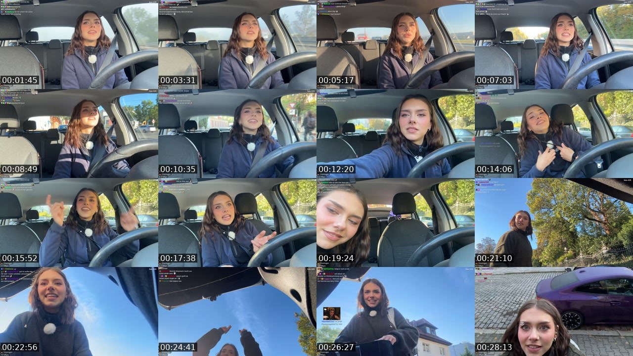 Contact-sheet preview of schiddii's Twitch recording