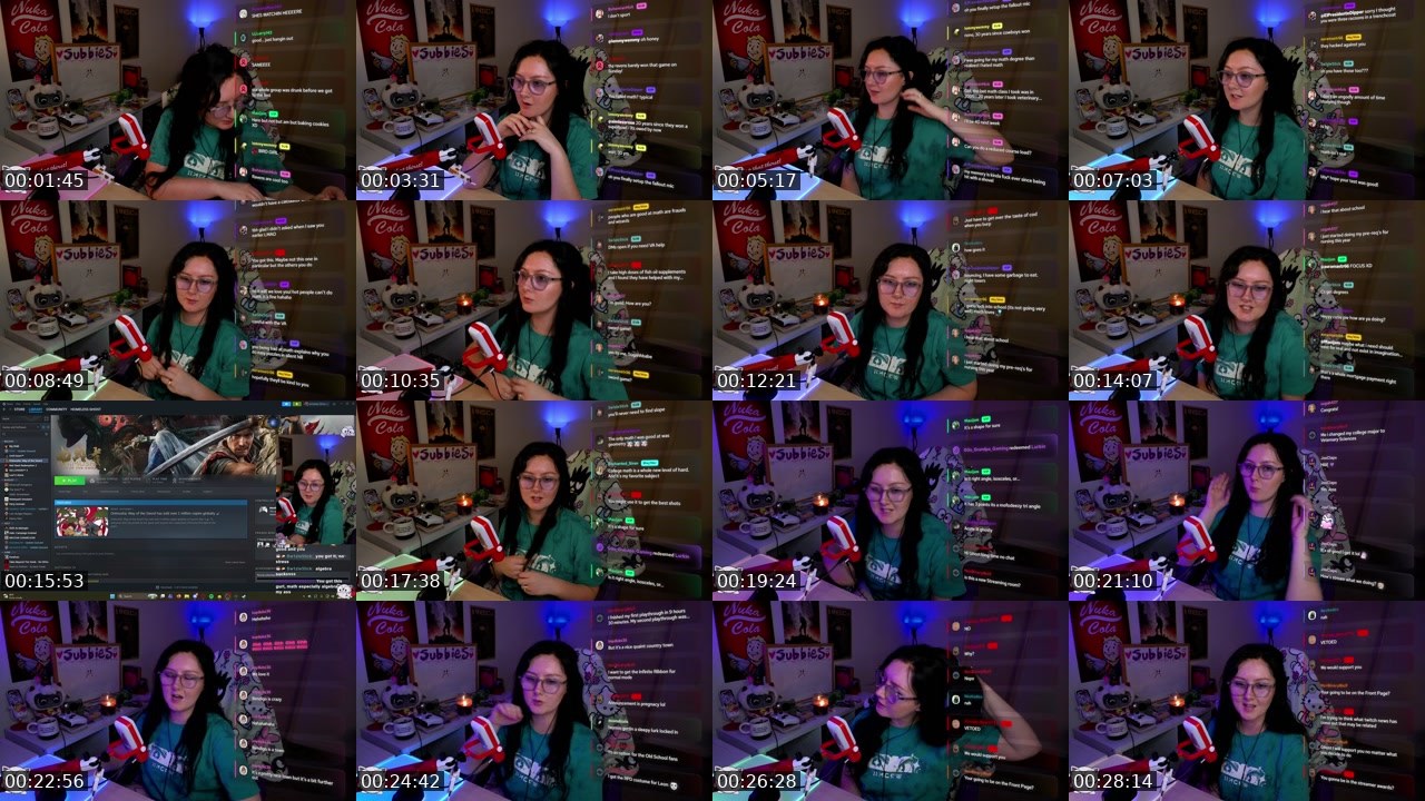 Contact-sheet preview of homeless__ghost's Twitch recording