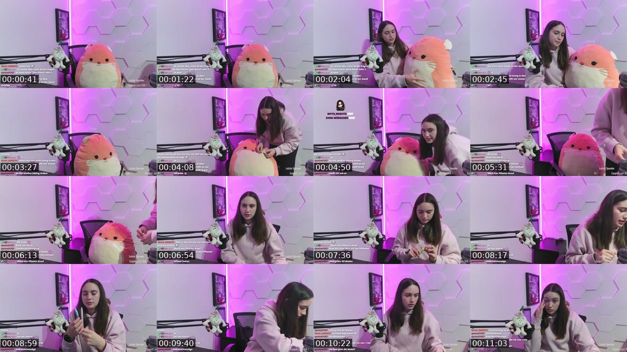 Contact-sheet preview of leiluuuuu's Twitch recording