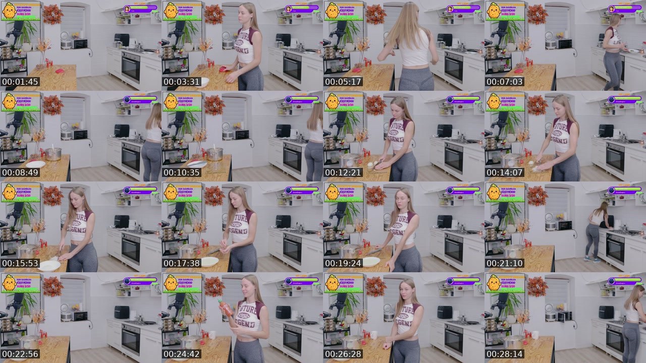 Contact-sheet preview of Gavrilka's Twitch recording