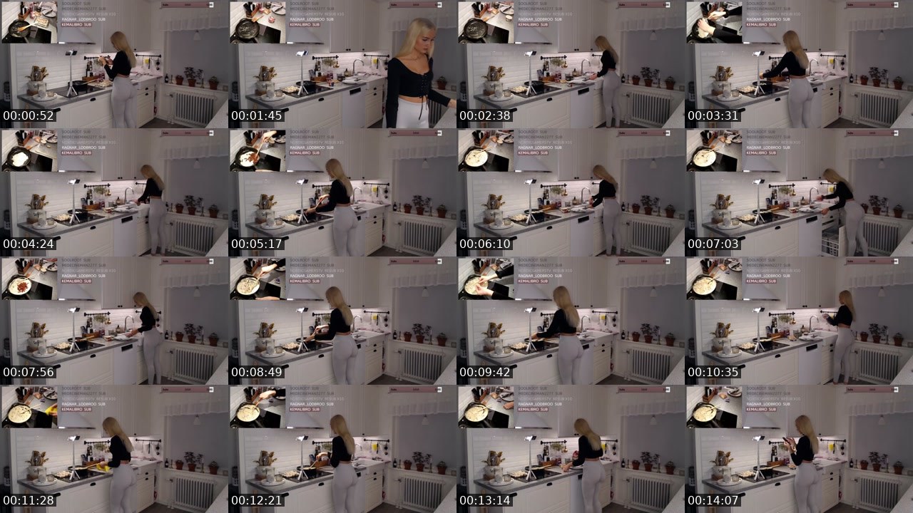 Contact-sheet preview of LinnyNova's Twitch recording
