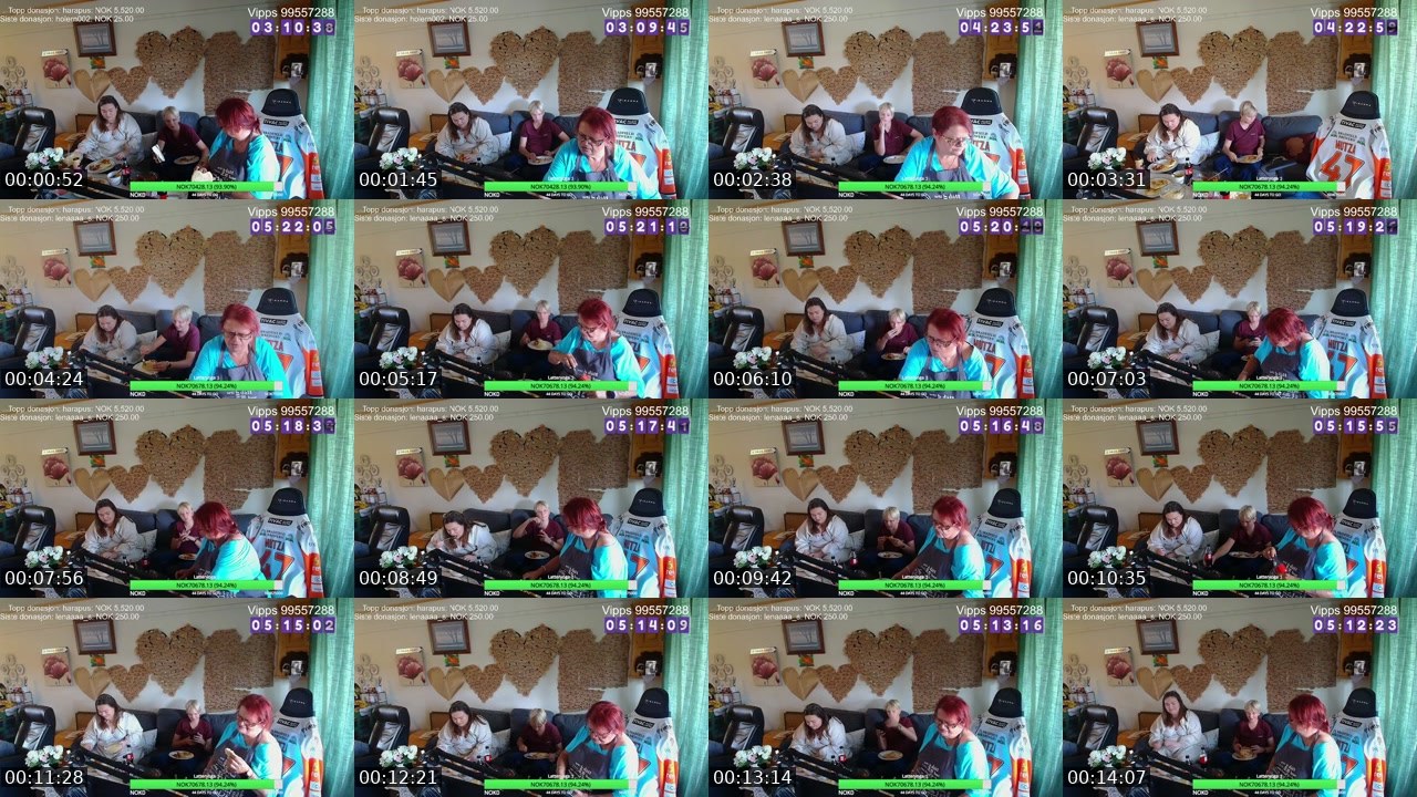 Contact-sheet preview of pondernmutza's Twitch recording