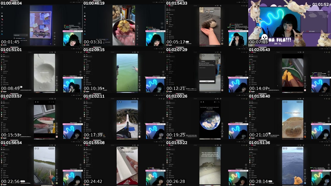 Contact-sheet preview of camiyuk's Twitch recording