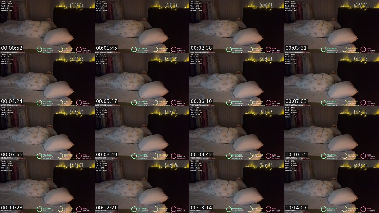 Contact-sheet preview of SWE_Beforewefall's Twitch recording