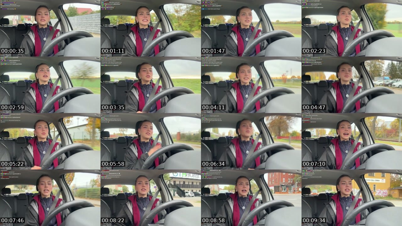 Contact-sheet preview of schiddii's Twitch recording