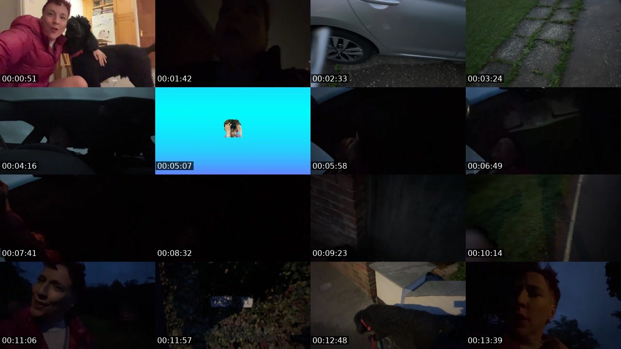 Contact-sheet preview of lesbianhotsauce's Twitch recording