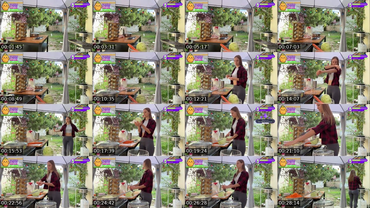 Contact-sheet preview of Gavrilka's Twitch recording