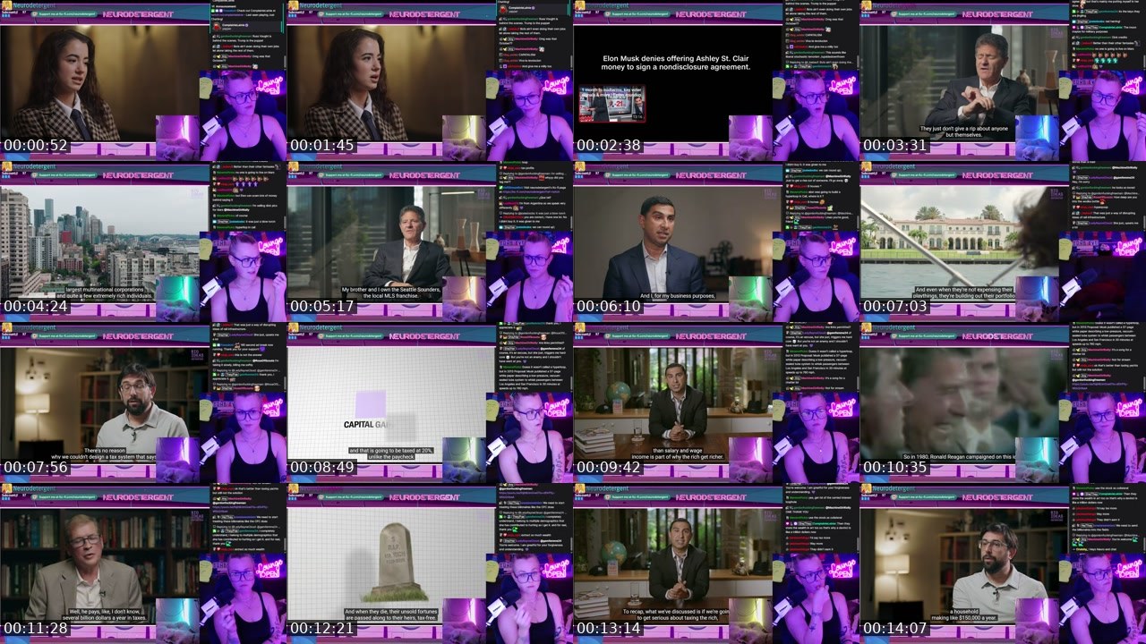 Contact-sheet preview of neurodetergent's Twitch recording
