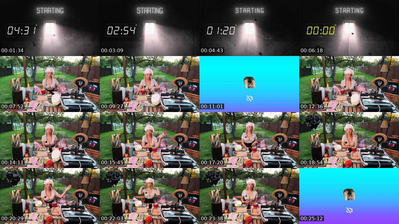 Contact-sheet preview of krypto_nat's Twitch recording