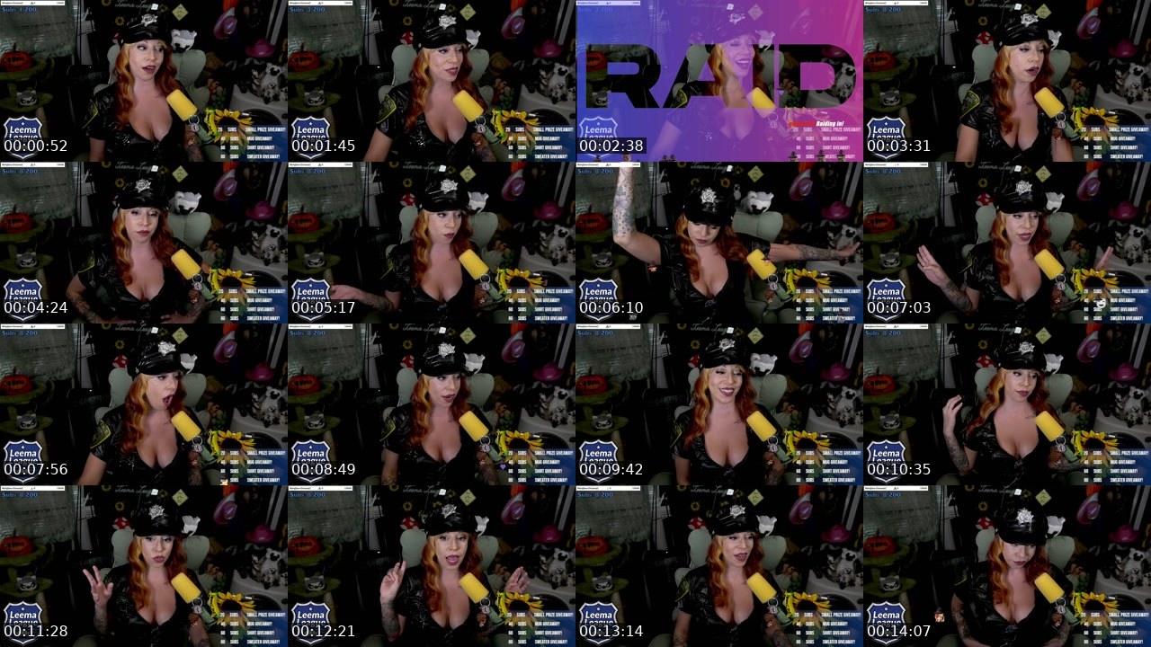 Contact-sheet preview of MissLeemaLee's Twitch recording