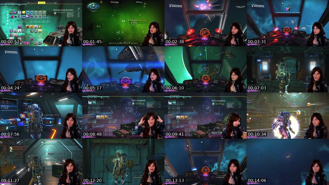Contact-sheet preview of BeesWithTheKnees's Twitch recording