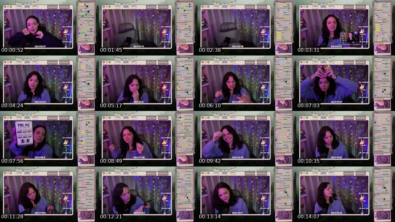 Contact-sheet preview of briarfeu1's Twitch recording
