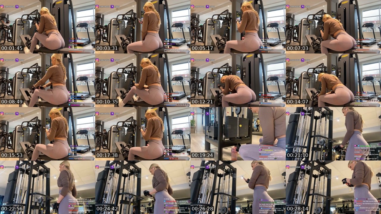 Contact-sheet preview of Linny's Twitch recording