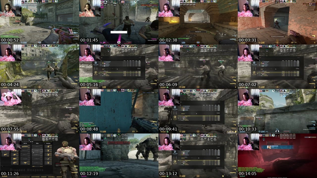 Contact-sheet preview of ariwka21's Twitch recording